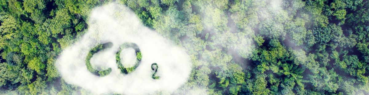 CO2-Freund oder Feind?