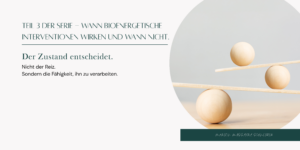 Minimalistische Darstellung eines Gleichgewichts mit Holzkugeln auf einer Wippe als Symbol für Regulation, Systemzustand und die Fähigkeit, Reize zu verarbeiten